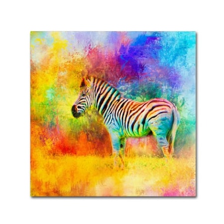 Jai Johnson 'Jazzy Zebra' Canvas Art,18x18